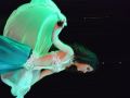 dsc 0120 61 600 450