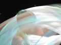 dsc 0124 63 600 450