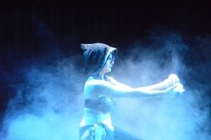 Féeries du Nil Salvan 2016