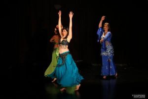 Spectacle 2014 «Raqs El Horreya»